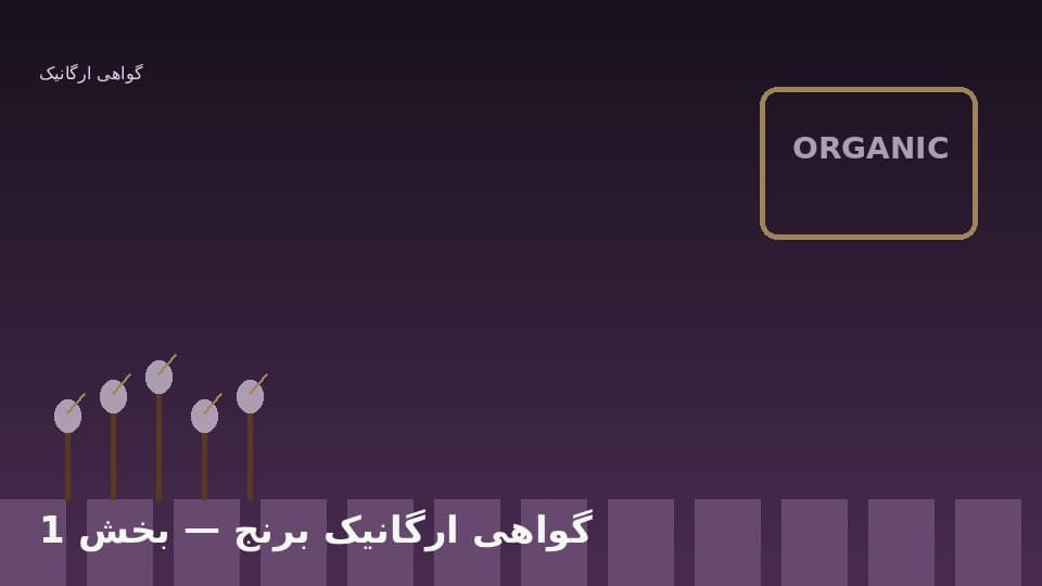 دوره گذار و منطقه حائل